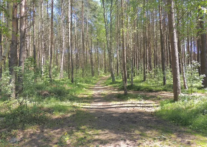 Dom Wczasowo-sanatoryjny Perla